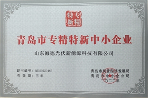 祝賀公司成功入選青島市“專精特新”企業(yè)名錄